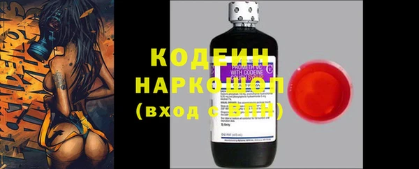 ГАЛЛЮЦИНОГЕННЫЕ ГРИБЫ Абаза