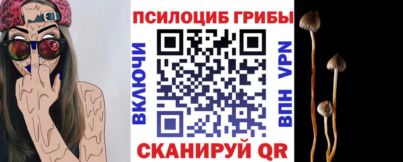 Галлюциногенные грибы MAGIC MUSHROOMS Урюпинск